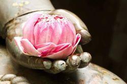 Tibetaans Instituut - Tibetaans Instituut - Stille Meditatie